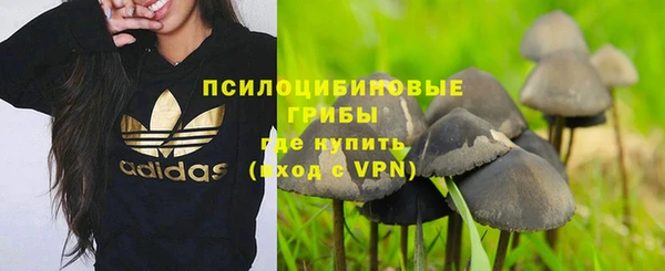 apvp Аркадак