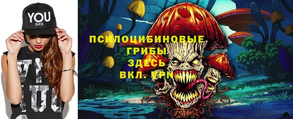 соль курить ск Арсеньев