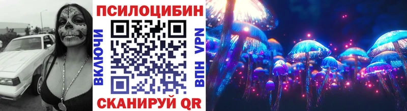 наркотики Сердобск Псилоцибиновые грибы Cubensis